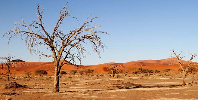 Namibia Desert